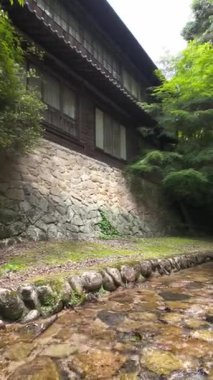 Japonya 'daki bir orman deresinin sakin bir görüntüsü, verimli yeşilliklerle çevrili zarif bir ahşap evin yanından akıyor.. 