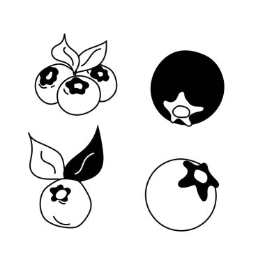 Bu yaban mersini dörtlüsü vektör çizgisinin zarafeti, basitlik ve böğürtlen cazibesinin mükemmel bir karışımı. Tasarımlarınızı taze yaban mersini özüyle temiz ve sanatsal bir biçimde geliştirin.