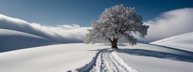 Lone Tree Standing in Snowy Field clipart