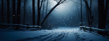 Snowy Night in Dark Woods With Falling Snow clipart