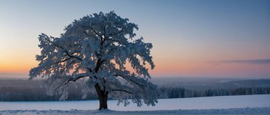 Lone Tree Stands in Snowy Field clipart