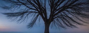 A Tree Silhouetted Against the Twilight Sky clipart