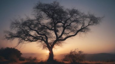 Tree Silhouetted Against Setting Sun in Field clipart