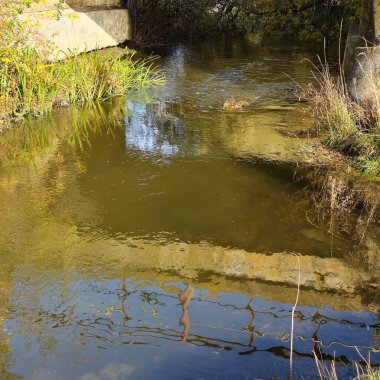 Parktaki nehrin güzel manzarası