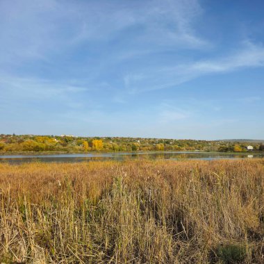 Sonbahar ormanında bir göl manzarası