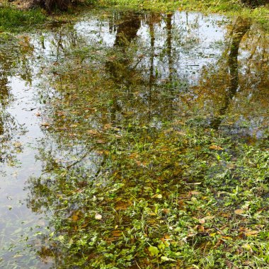 Nehirdeki su yansıması.