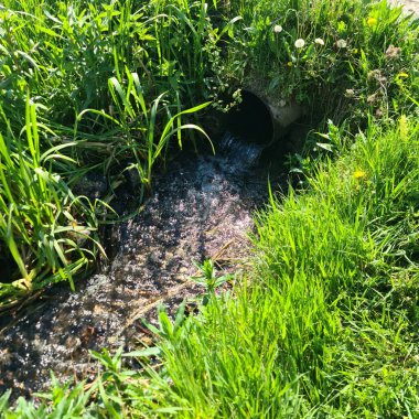 Bahçede küçük bir su akıntısı