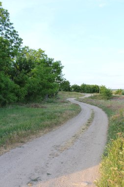 Parkın güzel manzarası