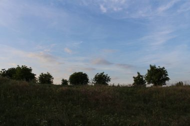 Doğa sahnesinin resimsel görüntüsü