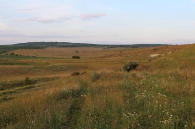 Kırsal kesimde manzara