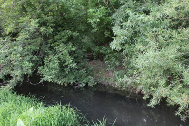Alman Alpleri 'ndeki Bregengau köyü.