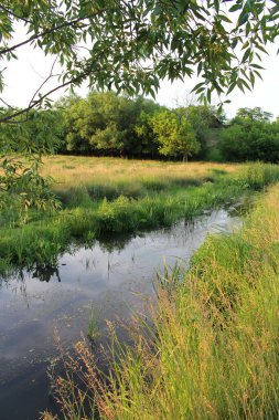Hollanda 'nın kırsal kesiminde nehir