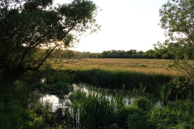 Güzel gün batımı alanında