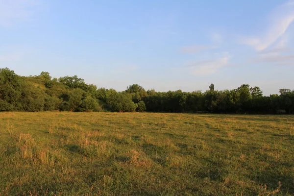 Yazın çimlerin ve ağaçların olduğu bir arazi.