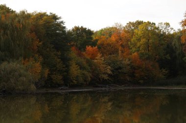 Sonbaharın ortasında bir nehrin ve ağaçların dikey çekimi.