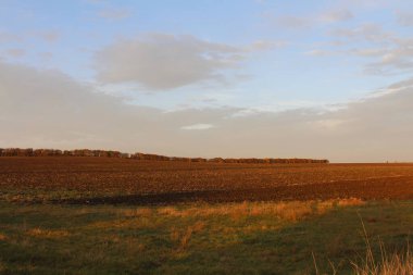 Kırsal bir yolun güzel bir görüntüsü. Mavi gökyüzünün altında tarlası ve tarlası var.