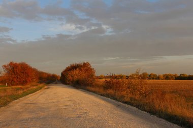 Kırsalda yol
