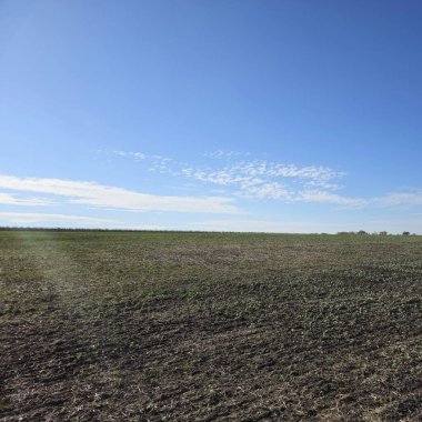 Tarlanın güzel manzarası