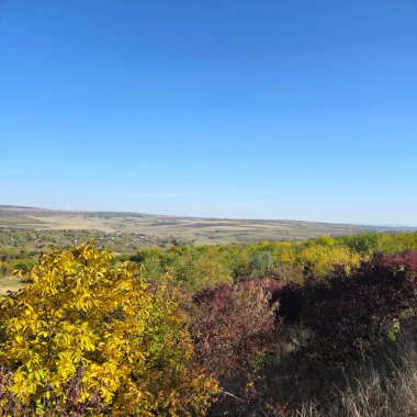Güzel bir manzara Ağacı ve mavi gökyüzü
