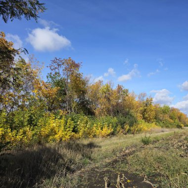 Doğanın güzel manzarası
