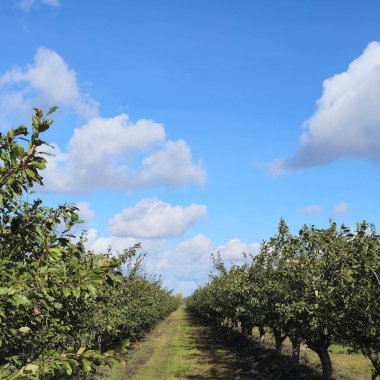 Doğanın güzel manzarası