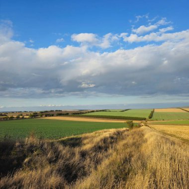Mavi bulutlu gökyüzünün altında yolu olan güzel bir tarla görüntüsü.