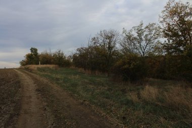 Tarlalı kırsal yol