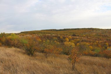 Ağaçlar ve ormanlarla dolu sonbahar manzarası