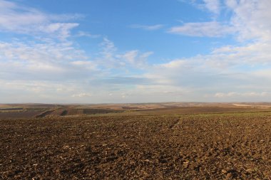 Güzel manzaralı bir tarla.