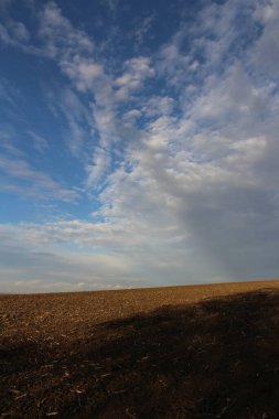 Güzel bir yaz gününde buğday tarlaları ve bulutlar