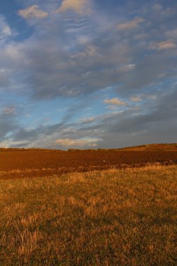 Ağaçlar ve mavi gökyüzü olan güzel bir manzara.