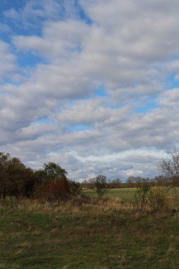 Ağaçlarla kaplı güzel bir manzara.