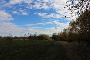 Parkta bir ağacı olan güzel bir sonbahar manzarası