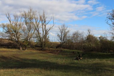 Doğanın güzel manzarası