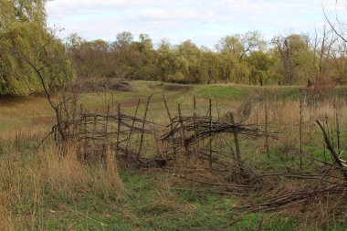 Önünde kuru çimenler olan sonbahar manzarası. Doğa ve çevrede doğal afet kavramı