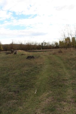 Bozkırın yolu, yol, çimen ve bulutlu mavi gökyüzü.