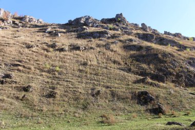 Nehir ve dağ olan güzel bir manzara.