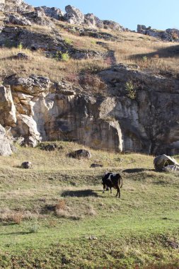 Arkasında bir dağ olan güzel bir manzara.