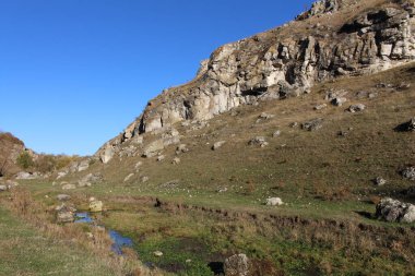 Yeşil çimenleri olan güzel bir dağ manzarası.