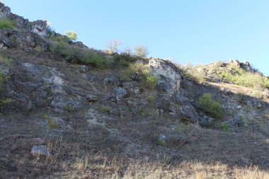 Doğanın güzel manzarası