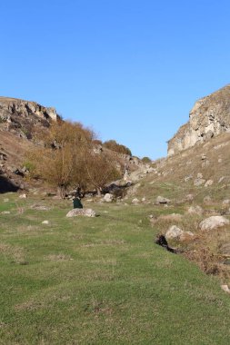 yeşil bir alana bir görünümünü