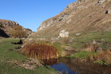 Parktaki nehrin güzel manzarası.