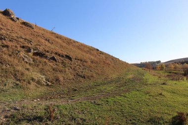 Arazinin ortasındaki bir yolun dikey çekimi.
