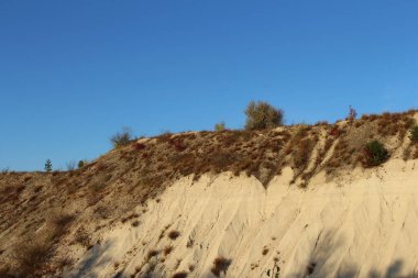 Baltık Denizi 'ndeki kum tepeleri