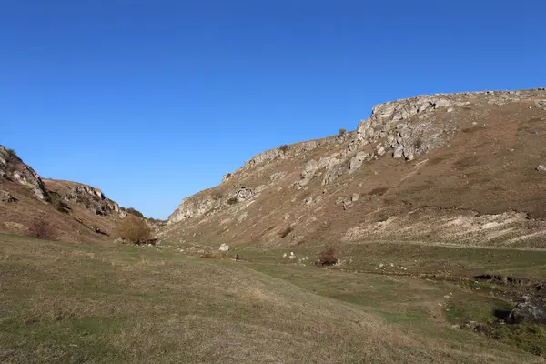 Doğanın güzel manzarası