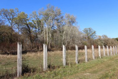 Sonbaharda parkta bir çit.