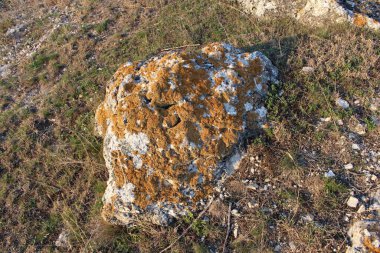 Taşlar kırsalda kumsalda