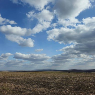 Rus bozkırının manzarası