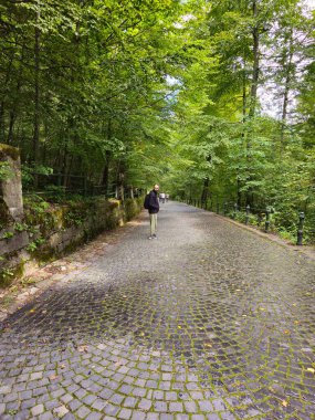 Bir adam ormanda yürüyor.