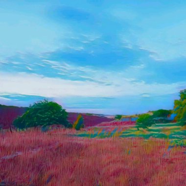 Çimen tarlası ve bulutlu gökyüzü olan güzel bir manzara.